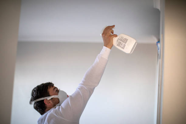 Best Emergency Mold Remediation in Pocola, OK