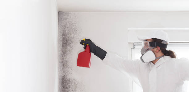 Best Health and Safety Mold Remediation in Pocola, OK