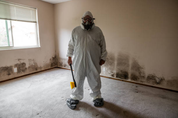 Best HVAC Mold Remediation in Pocola, OK